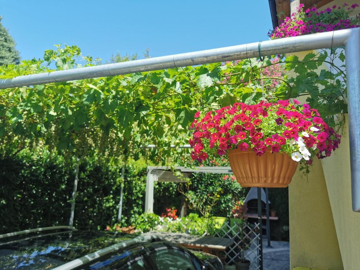 Apartman Nekic Cres Exterior foto